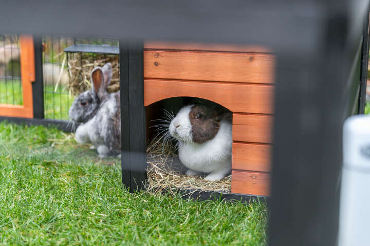 TRIXIE Freilaufgehege mit Abdeckung